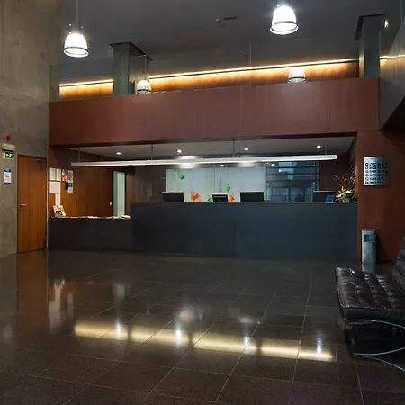 في.آي.بي إكزيكتيف أرتس فندق 4*